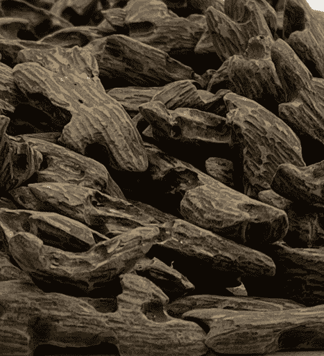 Bentley Agarwood
